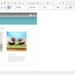 Embedded - New Zealand Books